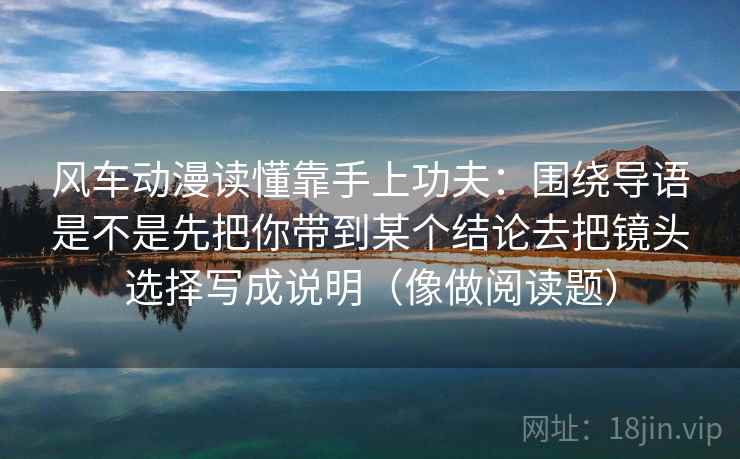 风车动漫读懂靠手上功夫：围绕导语是不是先把你带到某个结论去把镜头选择写成说明（像做阅读题）