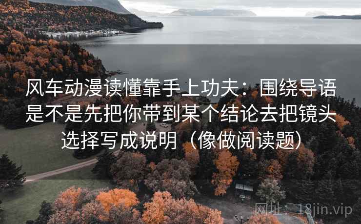 风车动漫读懂靠手上功夫:围绕导语是不是先把你带到某个结论去把镜头选择写成说明(像做阅读题)